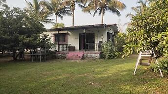 Mango Tree Farm