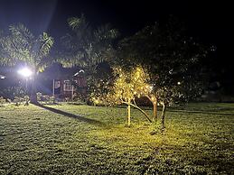 Mango Tree Farm
