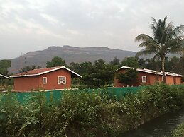 Mango Tree Farm