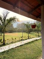 Mango Tree Farm