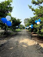 Mango Tree Farm