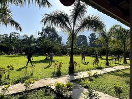 Mango Tree Farm