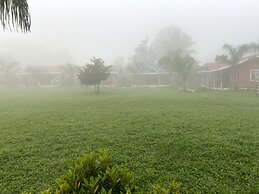 Mango Tree Farm