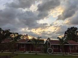 Mango Tree Farm