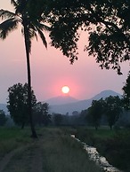 Mango Tree Farm