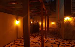 Dolly Apartments