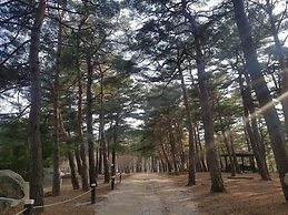 Cheoksan Spatel