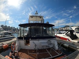 Yacht King