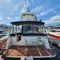 Yacht King