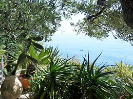House Limone