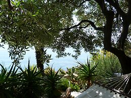 House Limone