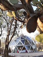 Raices Glamping