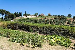 Podere Caldaruccio La Pineta - Bungalow