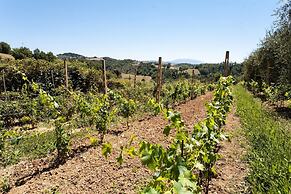 Podere Caldaruccio La Pineta - 26 People Cottage e Villa