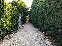 Robertas Villa - Home Holiday
