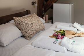 Step to Kotor Bay Guesthouse