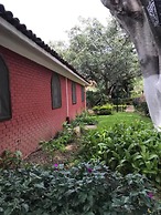 Bungalows La Huerta