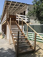 Sheddi