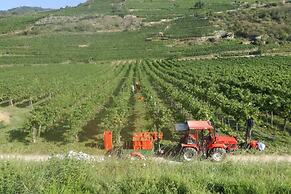 Weingut Bäuerl