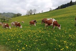 Ausblickhof