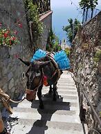 Goat Path