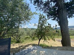 Villa Olive Oasis
