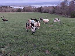 Pleasant Point Holiday Cottages