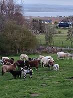 Pleasant Point Holiday Cottages