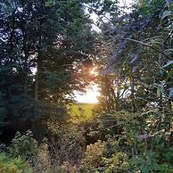 Off Grid Cabin Sleeps 2, Pets Ok, 20 min to Dunoon