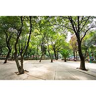 Brand New Park View Designer Apartment