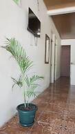 Guesthouse Morpho CR