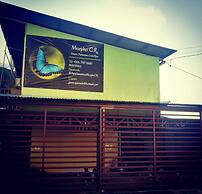 Morpho CR 2