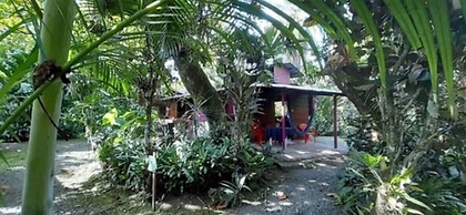Cabinas Algebra