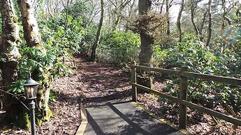 Moddershall Oaks