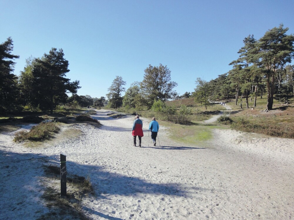 Modern Holiday Home Near Brunssummerheide