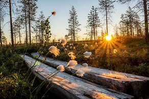 Metsä Kolo