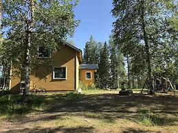 Metsä Kolo