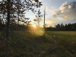 Metsä Kolo