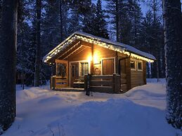 Metsä Kolo