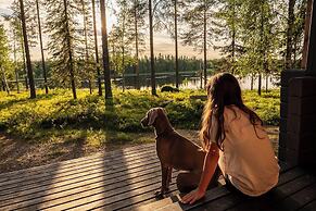 Metsä Kolo