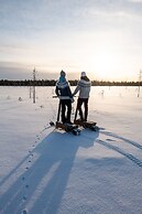 Metsä Kolo