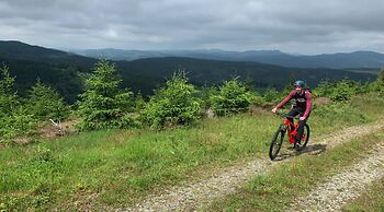 B&B Sauerland TCF