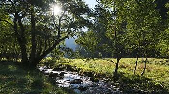 B&B Sauerland TCF