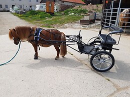 Pferdefreunde Loberhof