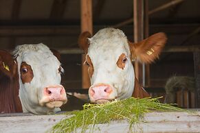 Ferienhof Lecheler