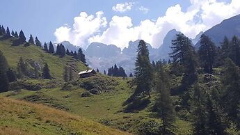 Hotel Alpina
