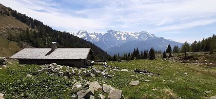 Hotel Alpina