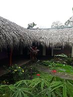 Hospedaje Bananas