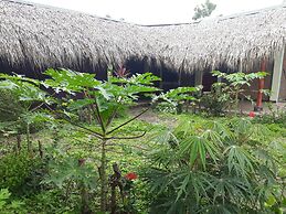 Hospedaje Bananas