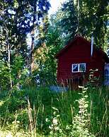 Tiny hut in the Forest Overlooking the River